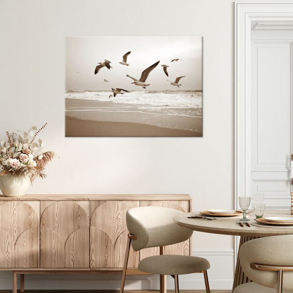 Obraz do salonu kuchni biura, Mewy ptaki morze plaża natura 30x20