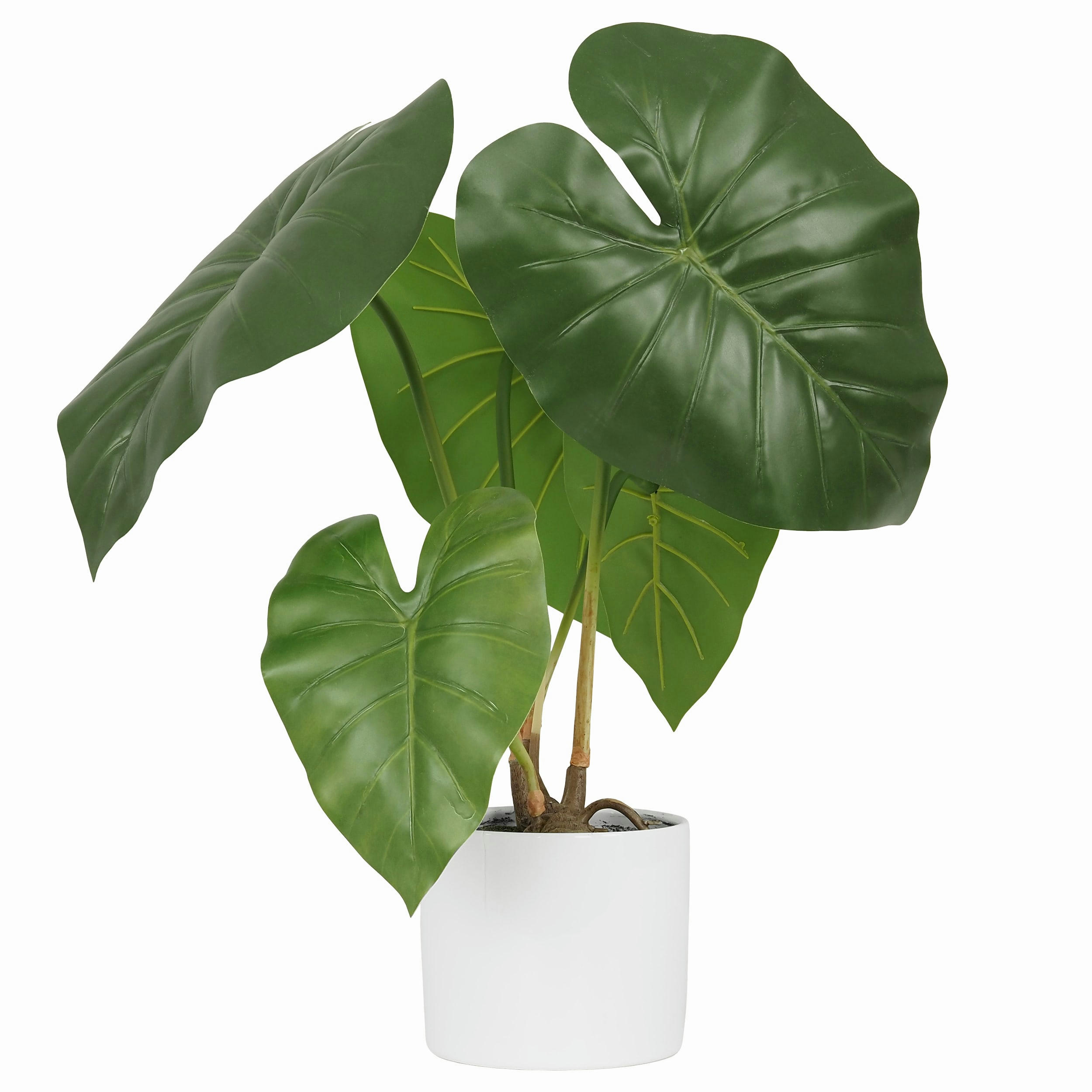 - Plante taro artificiel en pot céramique 55cm