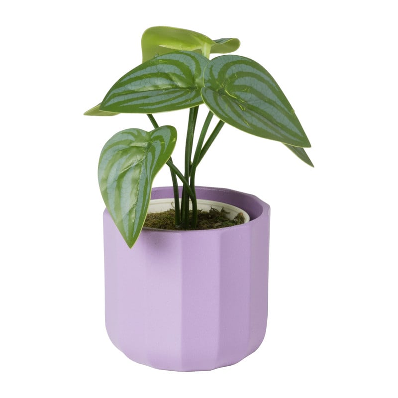 Bloempotje streep - paars - &Oslash;7x6.5 cm