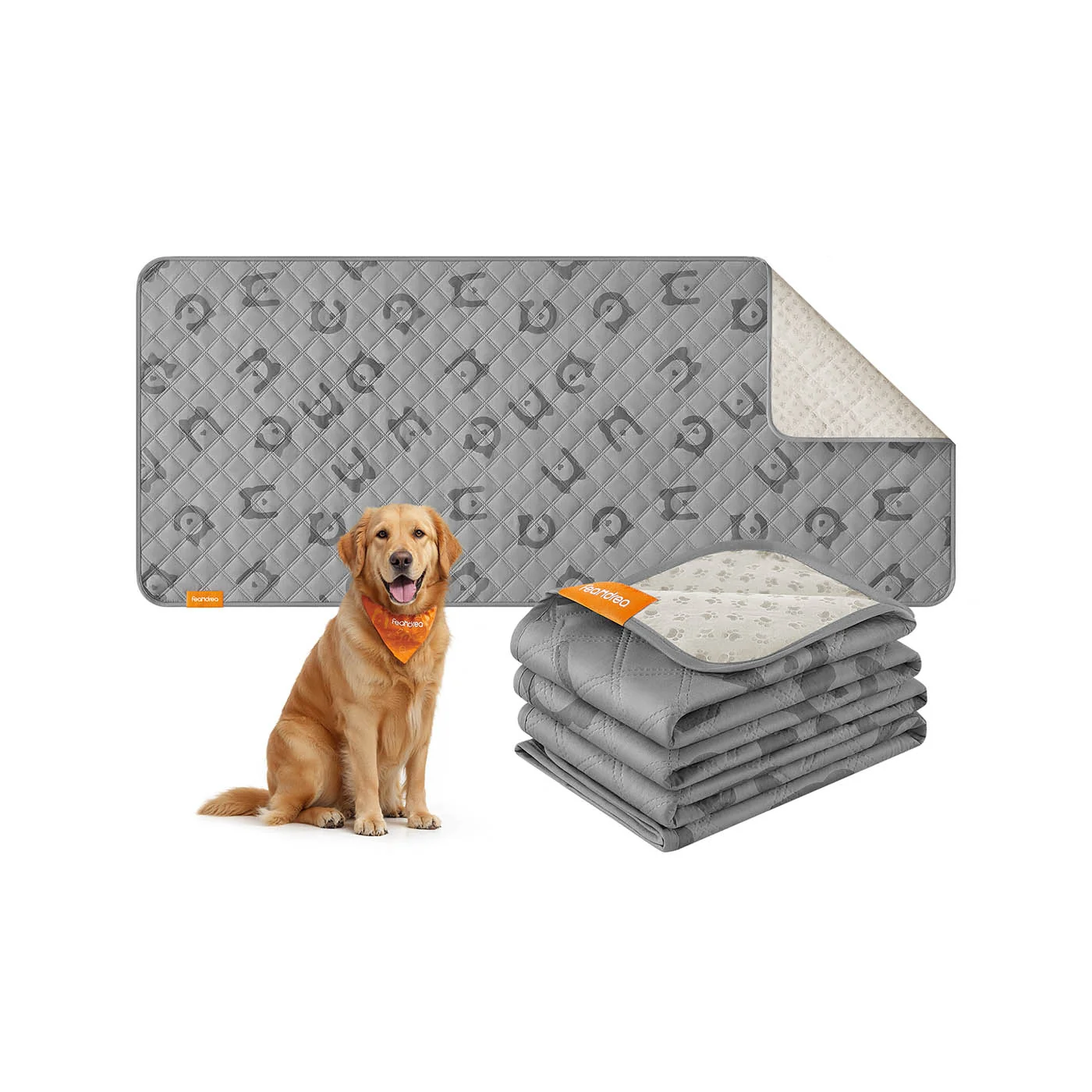 Couverture imperméable lavable pour chien antidérapante