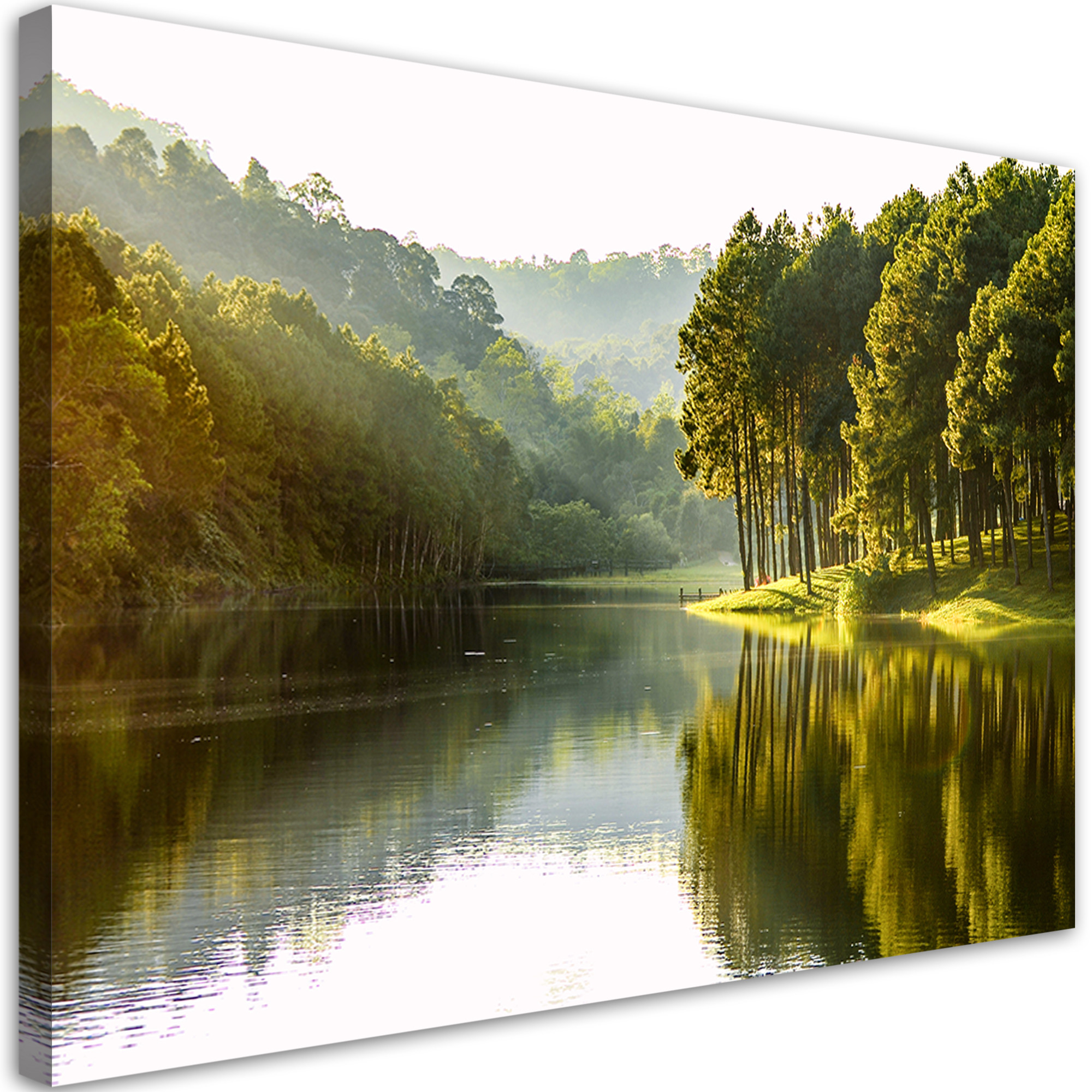 Feeby Obraz, Krajobraz las drzewa natura 60x40