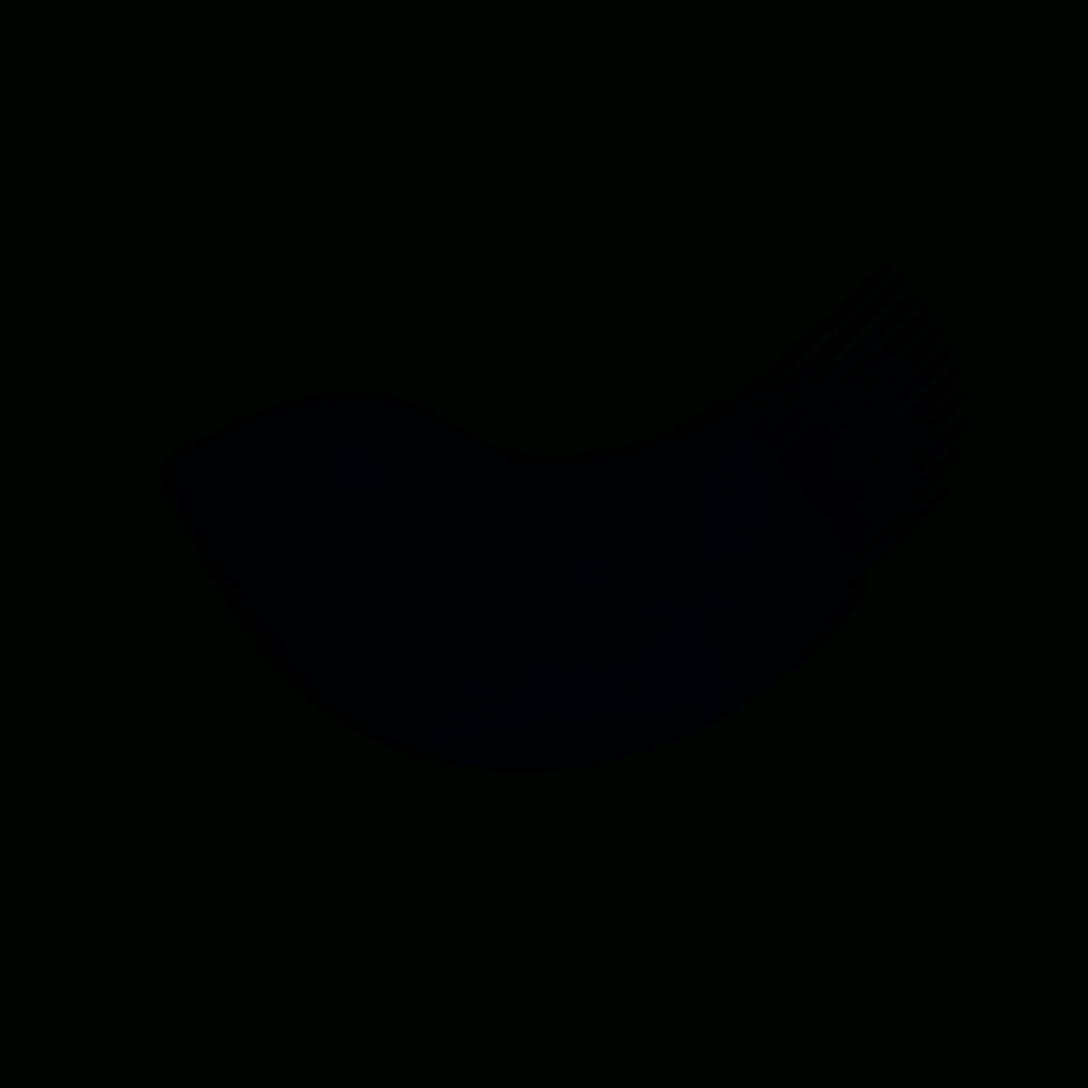 HAPPY BIRD - Pinceau et maryse en silicone noir