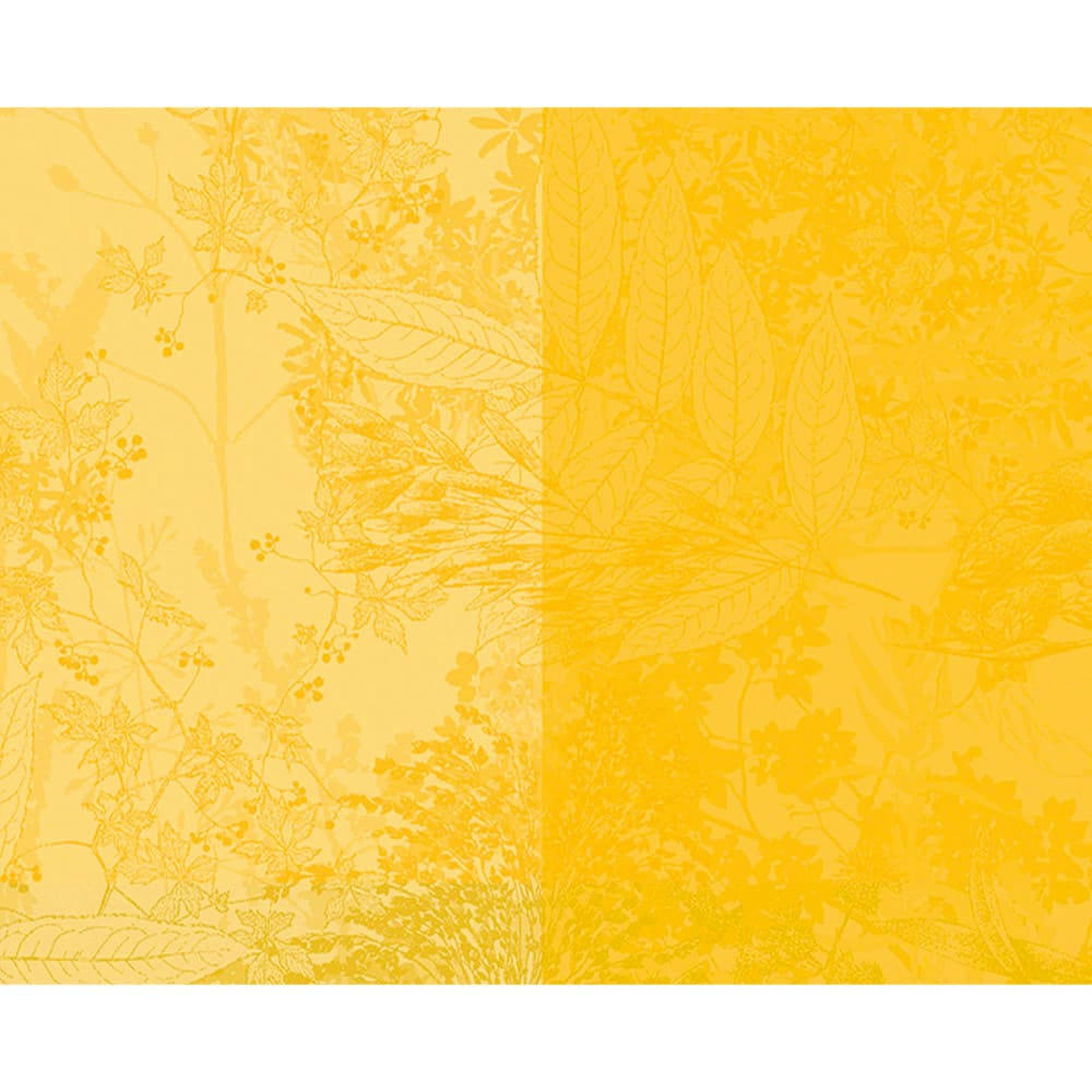 MILLE ESPRIT JARDIN SOLAIRE - Set  pur coton jaune 40X50