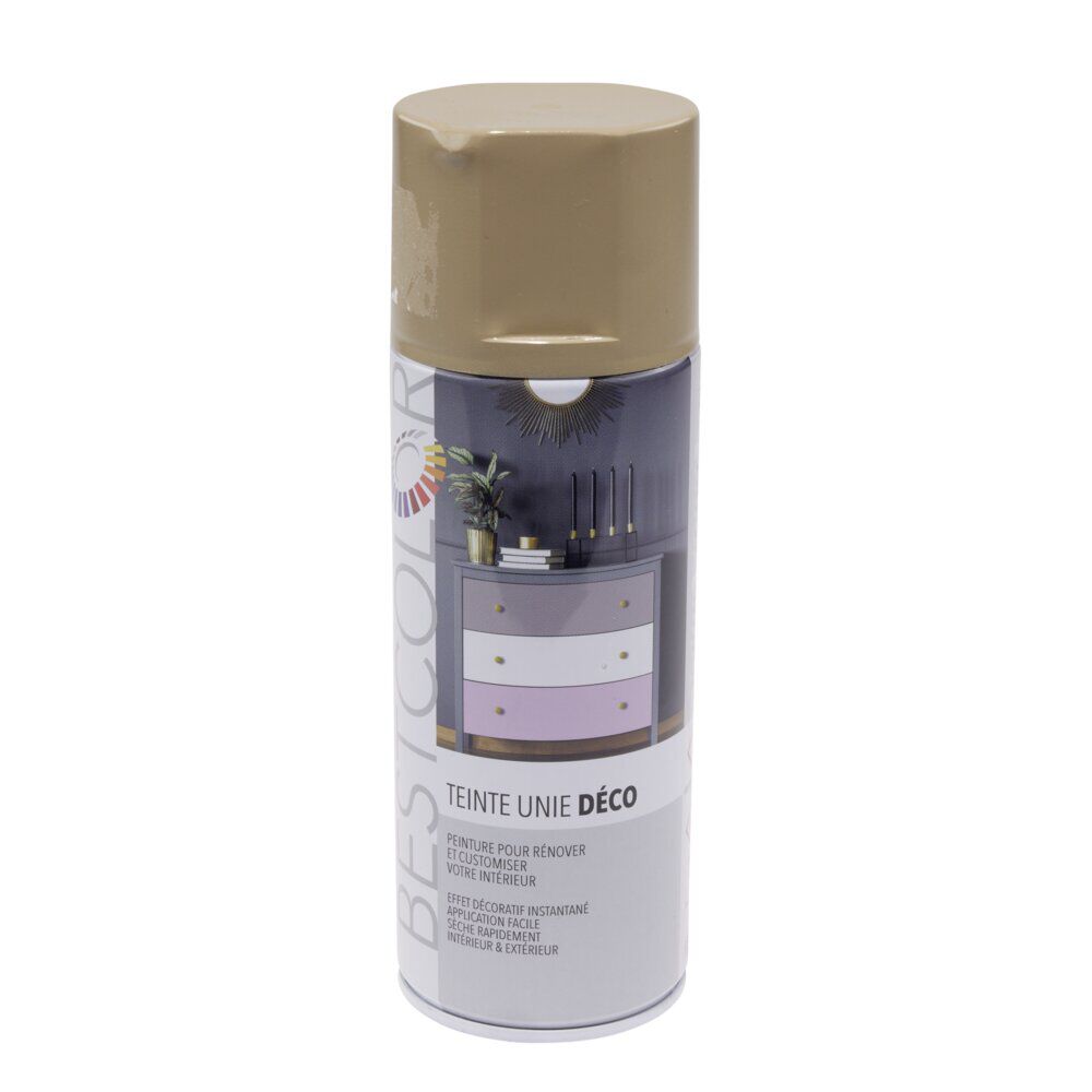 Peinture intérieur et extérieur gris taupe