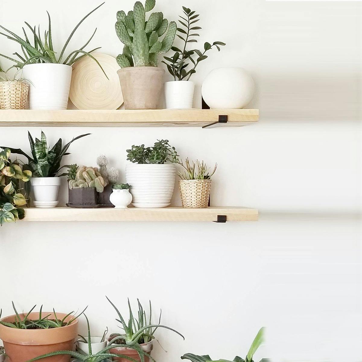 Etagère murale décor bois clair avec supports noirs (x2) JENA