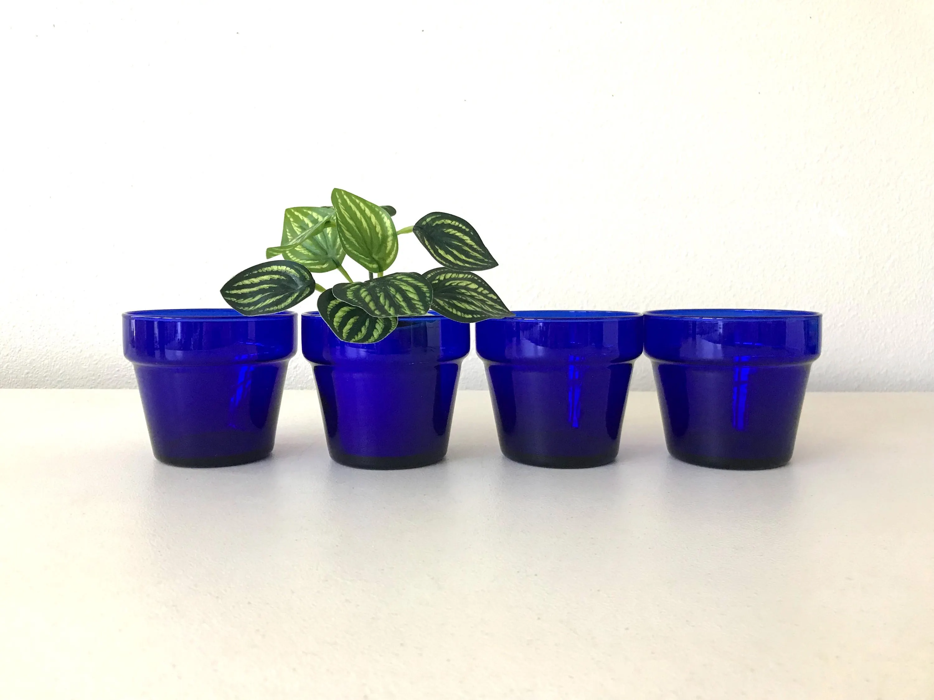 Cobalt Blue Glass Planters - Indoor Plant Pots, Set of 4