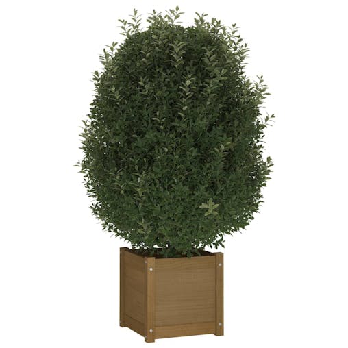 NNEVL Garden Planter Honey Brown 40x40x40 cm Solid Pinewood