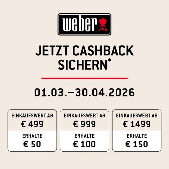 Planchagrill »Slate GP Premium«, 2 Brenner, Grillfläche: 56 x 41 cm, schwarz