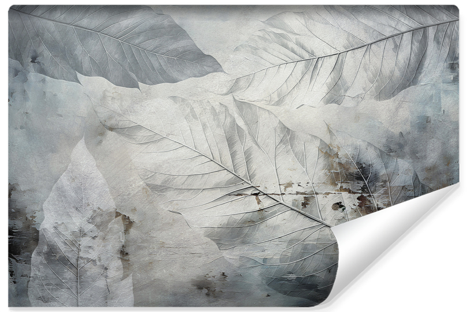 Fototapeta Abstrakcyjne Liście Na Betonie 90x60cm