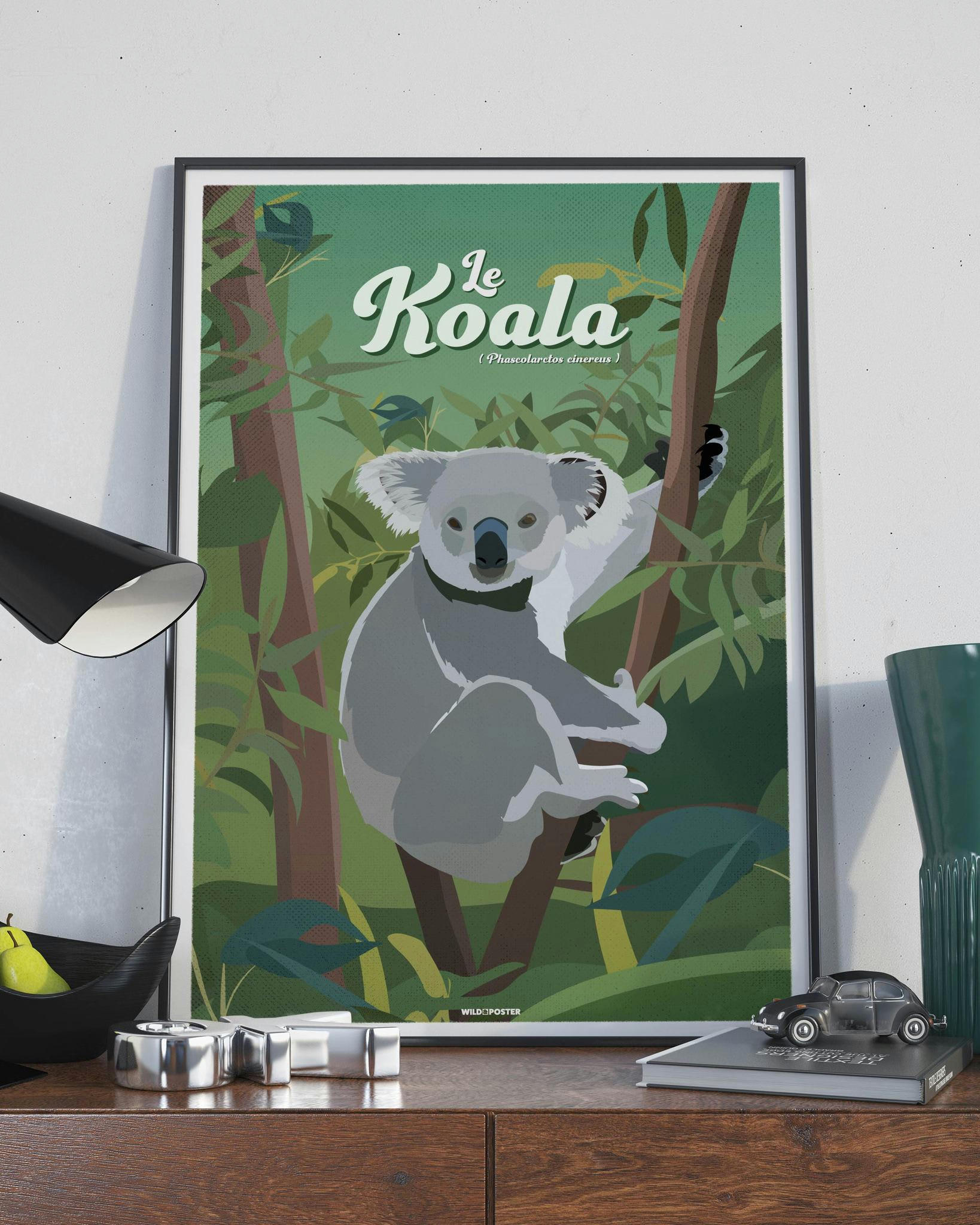 ANIMAUX - Affiche Animaux - Le Koala 40 x 60 cm