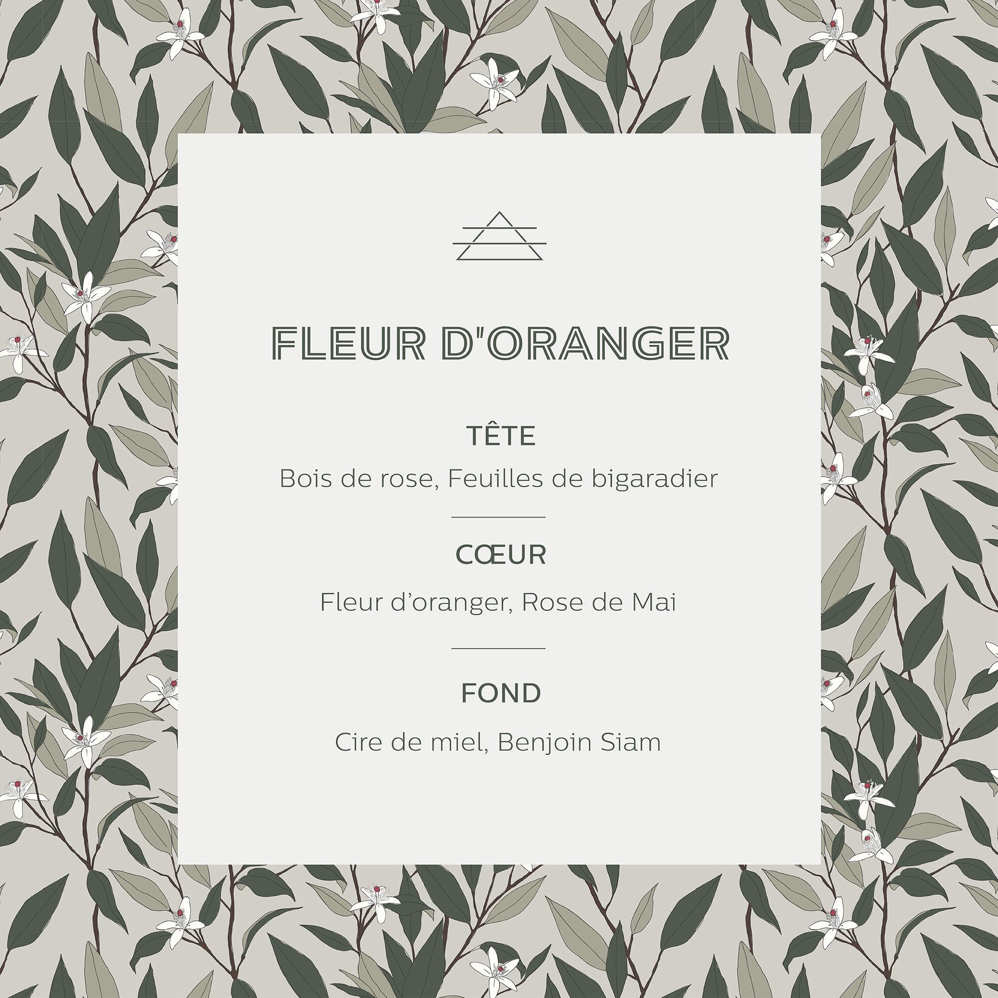 SIGNATURE - Recharge pour diffuseur senteur Fleur d'Oranger 500ml