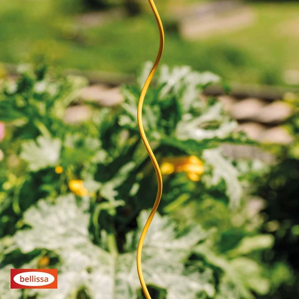 Tomatenspiralstab »Colorata«, LxH: 4,3 x 170 cm, Silber