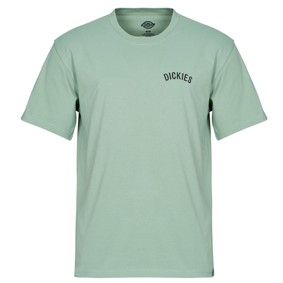 Dickies - DICKIES SNAKE SS TEE - Green