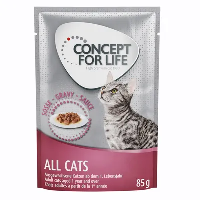 Concept for Life All Cats – in Gravy