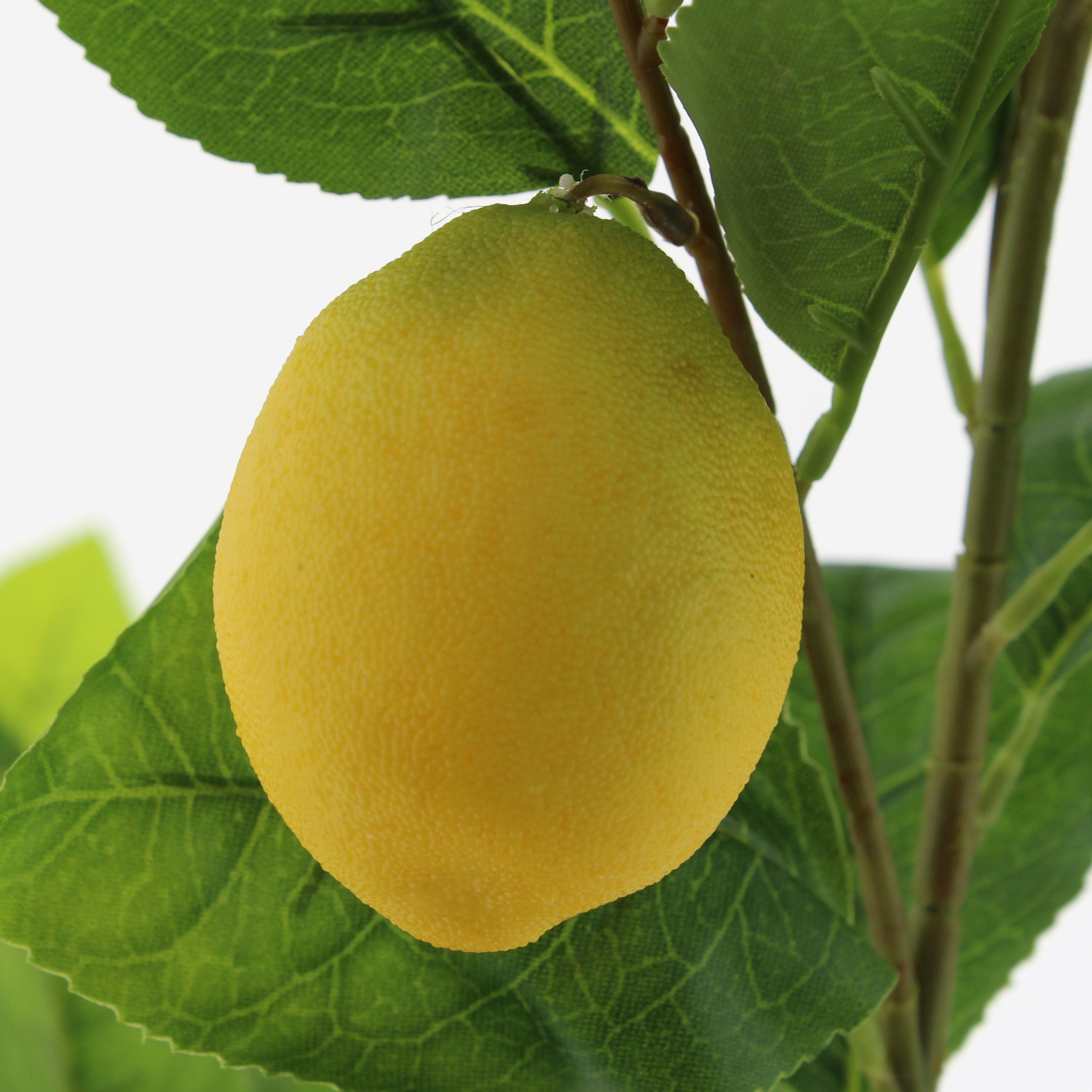 Van der Leeden Citroenboom Kunstplant