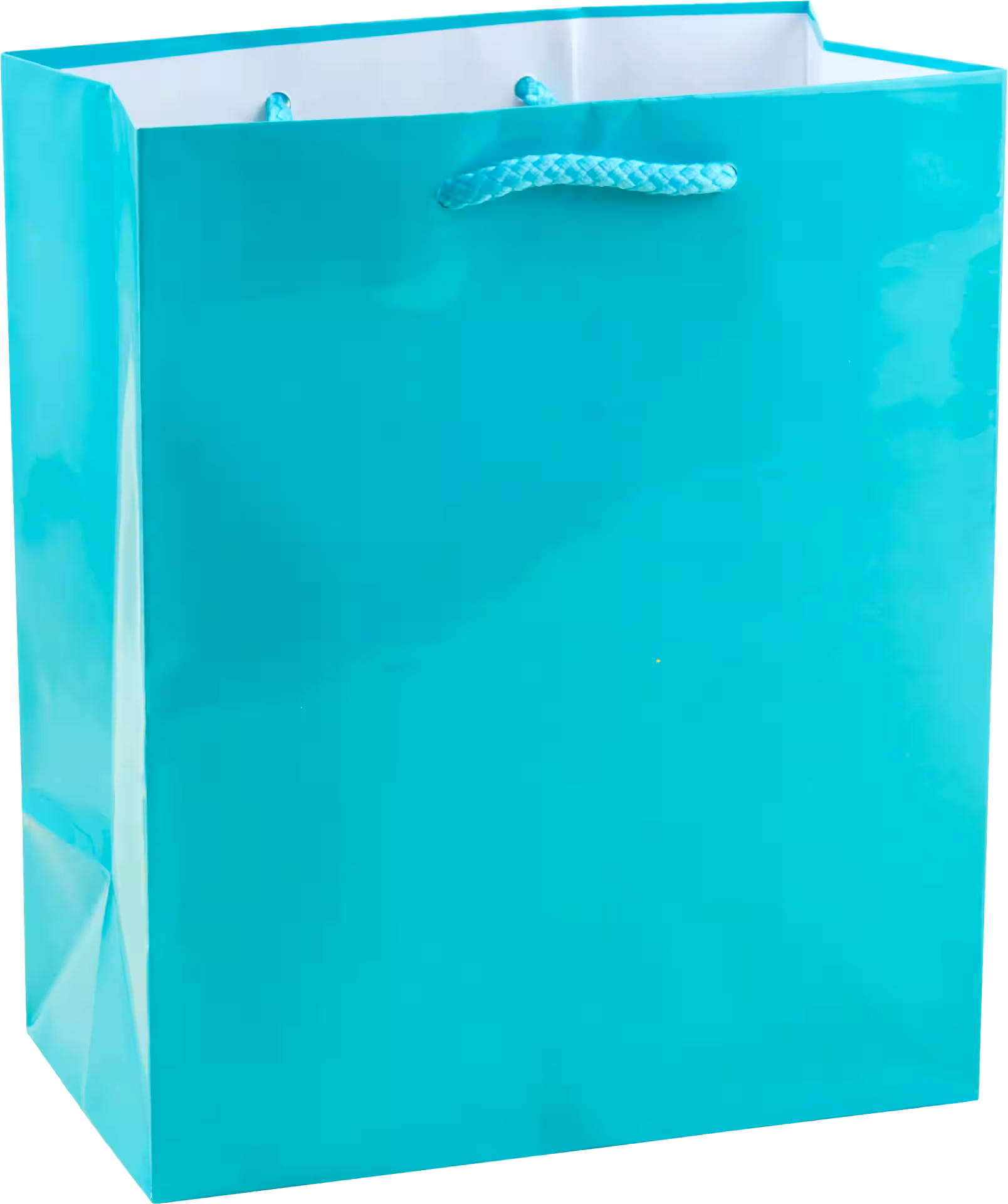 Large Royal Gift Bag, 9.5-in