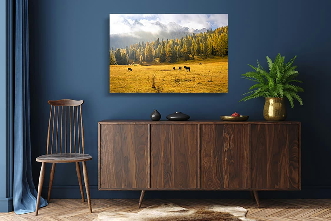 LE TEMPS MET TOUT EN LUMIÈRE - Photographie d'art d'Hugo Grandcolas 40x60 cm sur alu