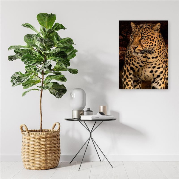 Feeby Obraz na płótnie Fotografia lamparta 40x60