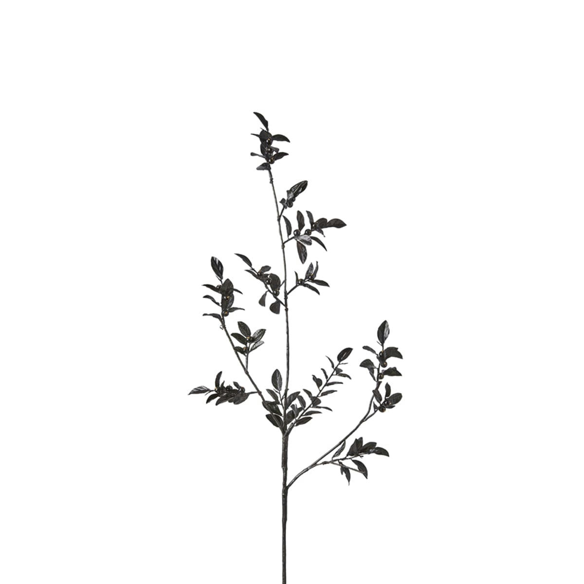 - Branche de mini baies avec feuilles