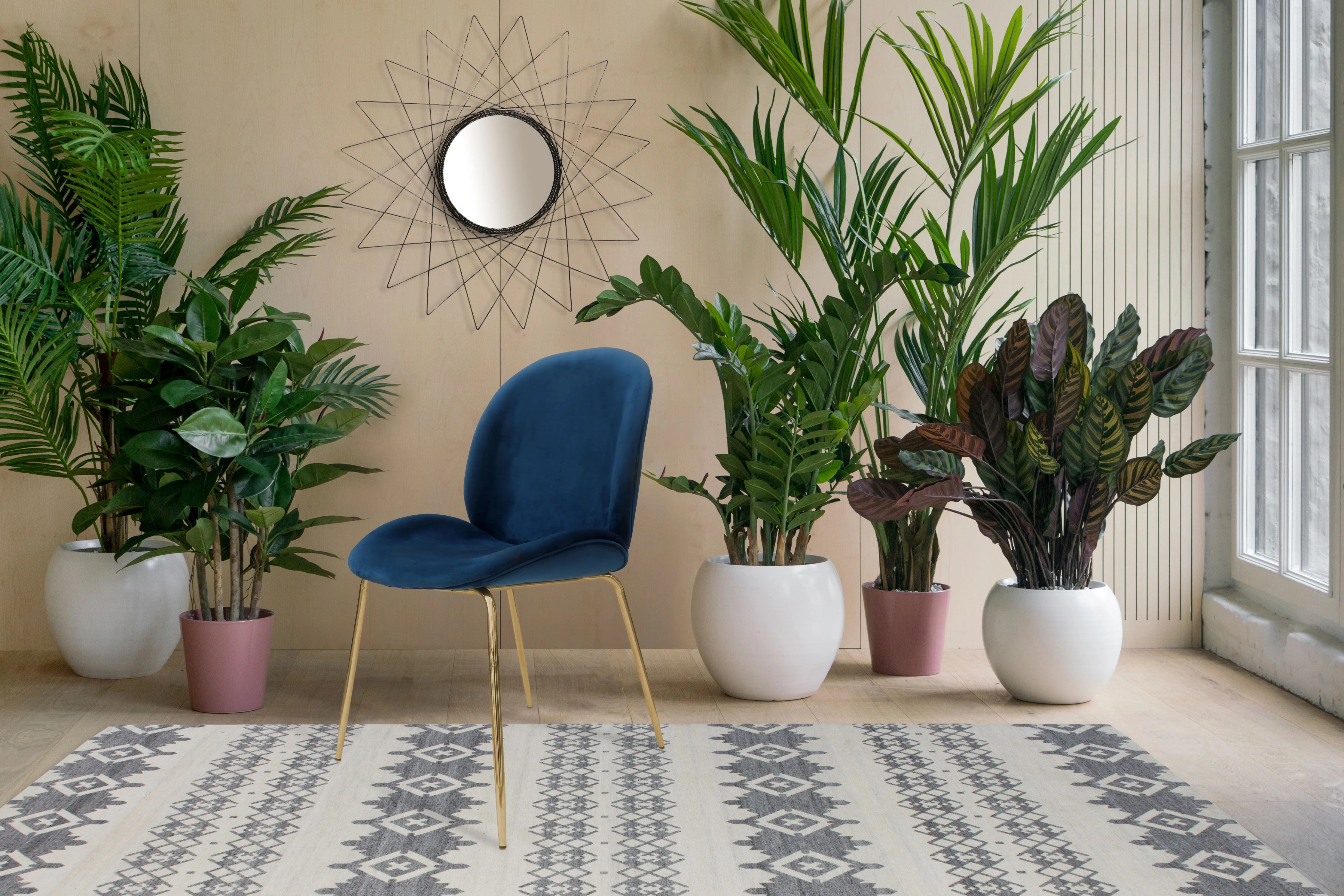 Set van 2 eetkamerstoelen Charlie velvet