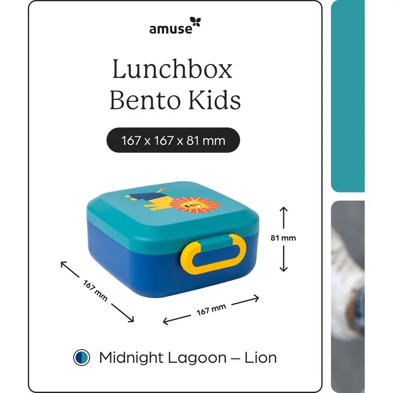 Lunch-Box Rikko