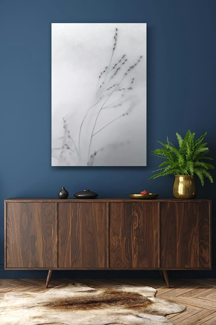 LE DÉBUT - Photographie d'art de Zoé Pignolet 40x60 cm sur alu