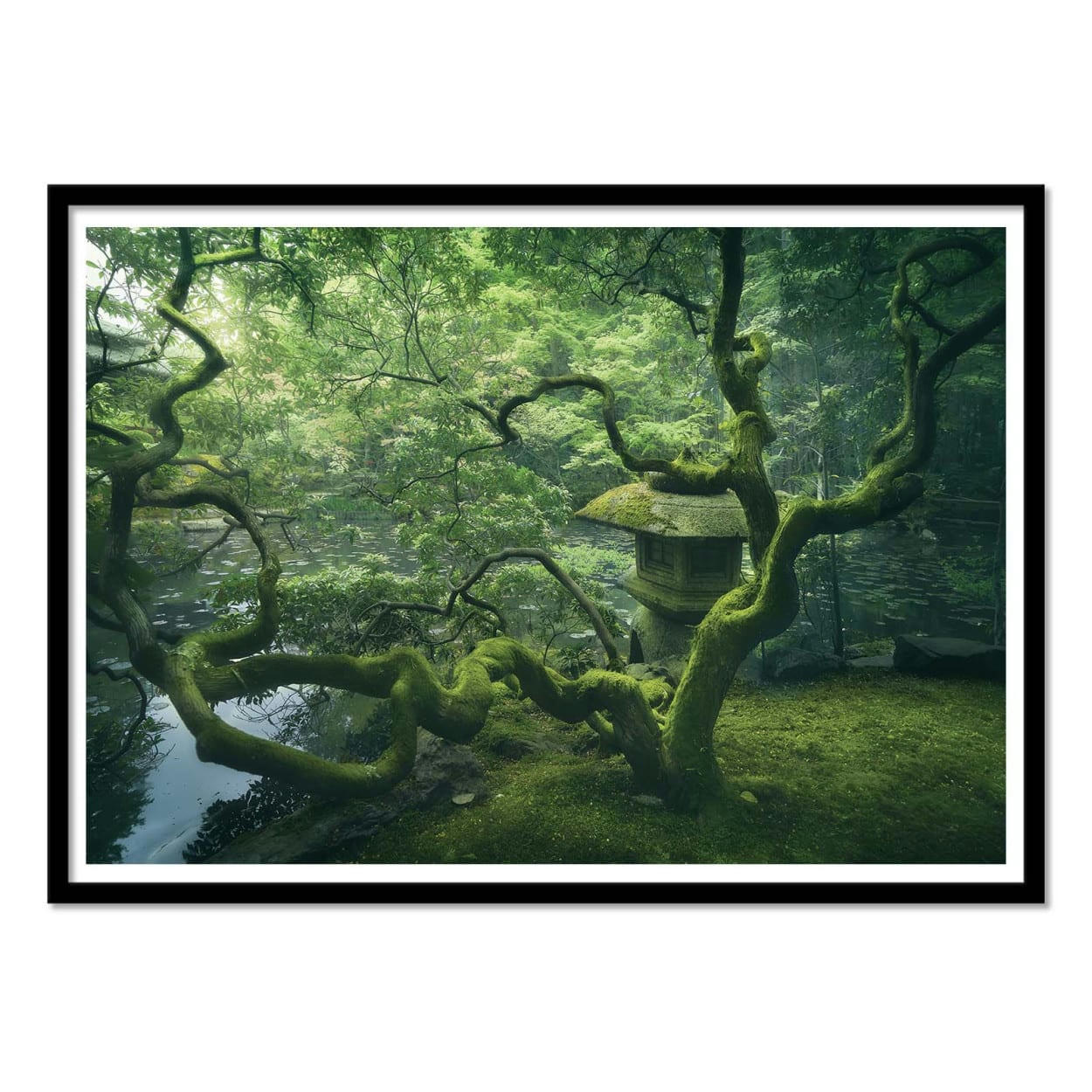 1X - JAPANESE TREE - JAVIER DE LA - Affiche d'art 30 x 40 cm