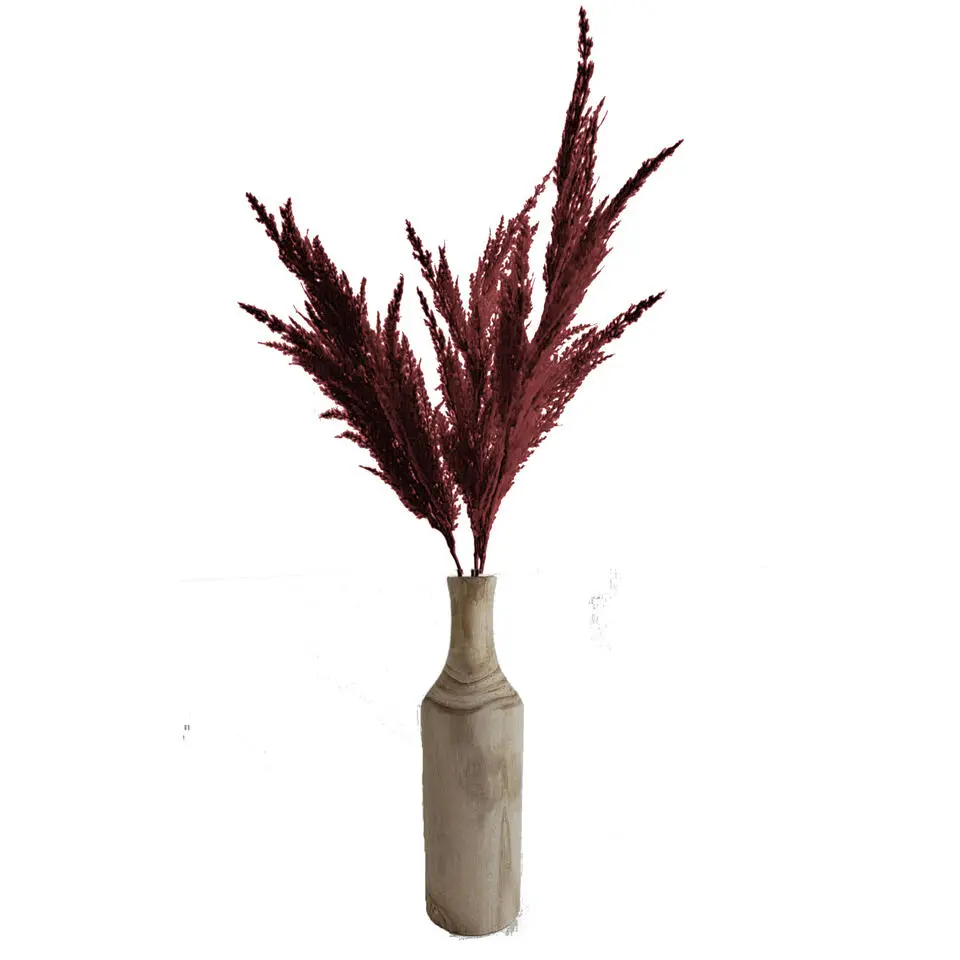 TopArt Pampasgras kunst pluim steel/tak - bordeaux rood - 100 cm