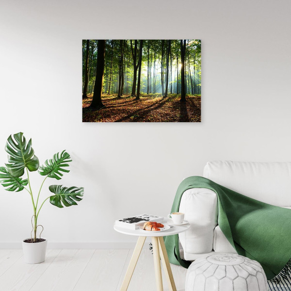 Feeby Obraz na płótnie, Las o wschodzie słońca pejzaż 60x40
