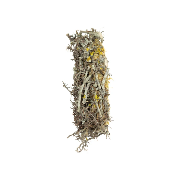 Tannenzweige, Naturkranz Larix, 30 cm