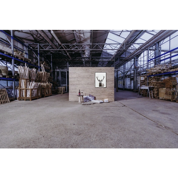 Paneele »Alm«, BxL: 100 x 780 mm, Holz