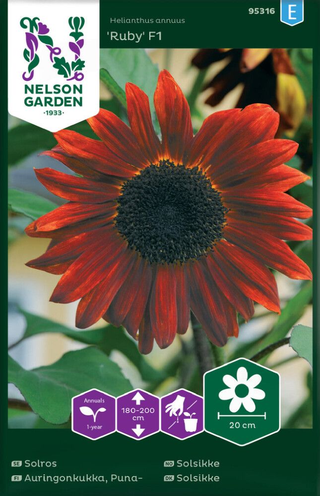 BLOMSTERFRØ NELSON GARDEN SOLSIKKE RUBY F1
