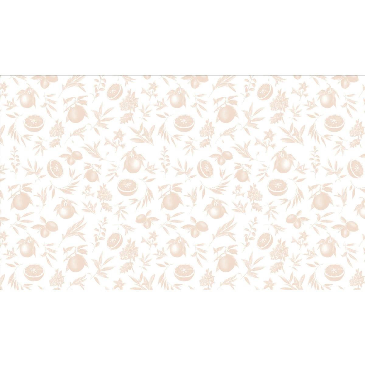 - Papier peint panoramique agrumes 425 x 250 cm