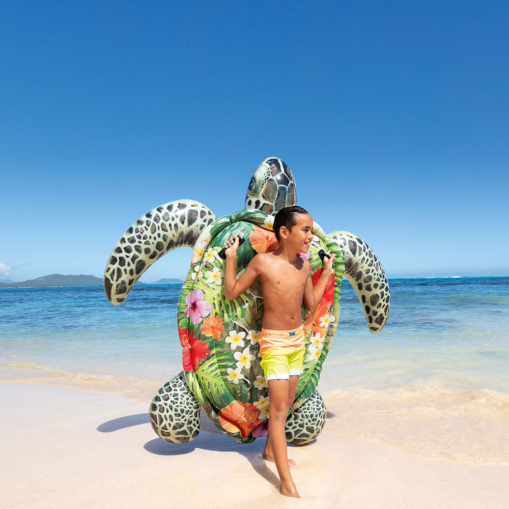 Tortue Aloha à chevaucher