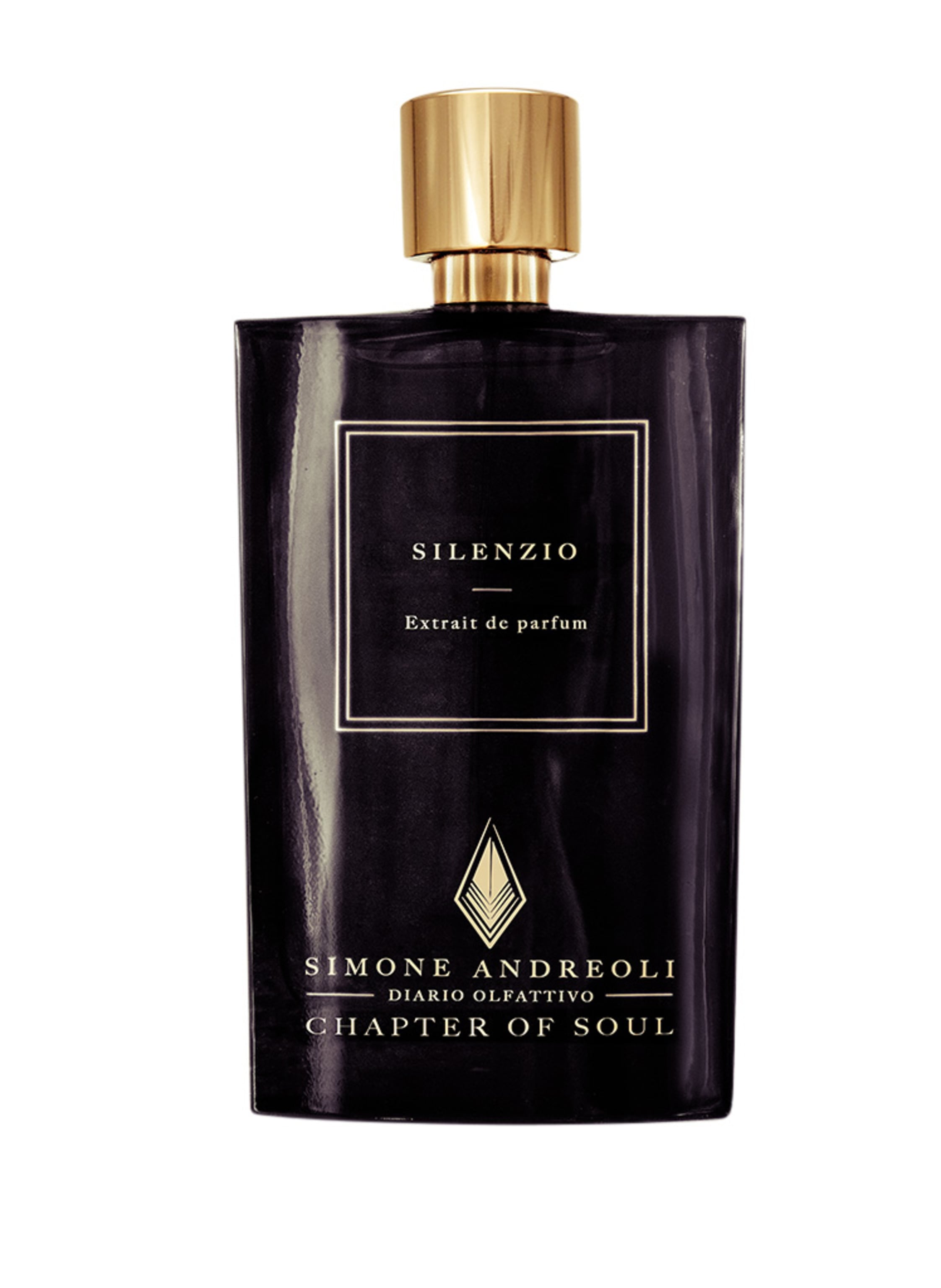SIMONE ANDREOLI SILENZIO