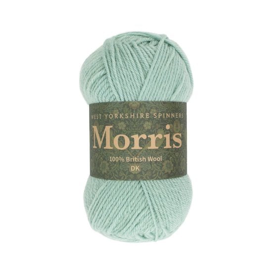 West Yorkshire Spinners Mint Morris DK 50g