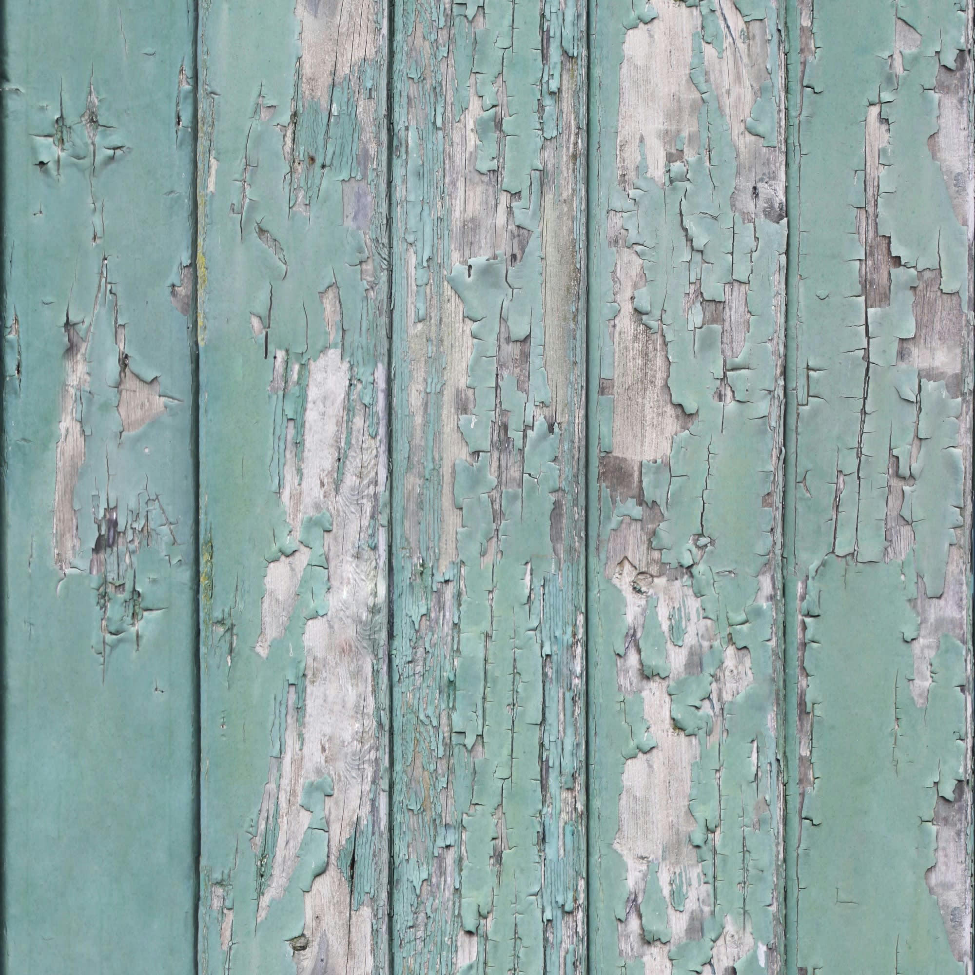 - papier peint planches vintage vert 1005x52cm