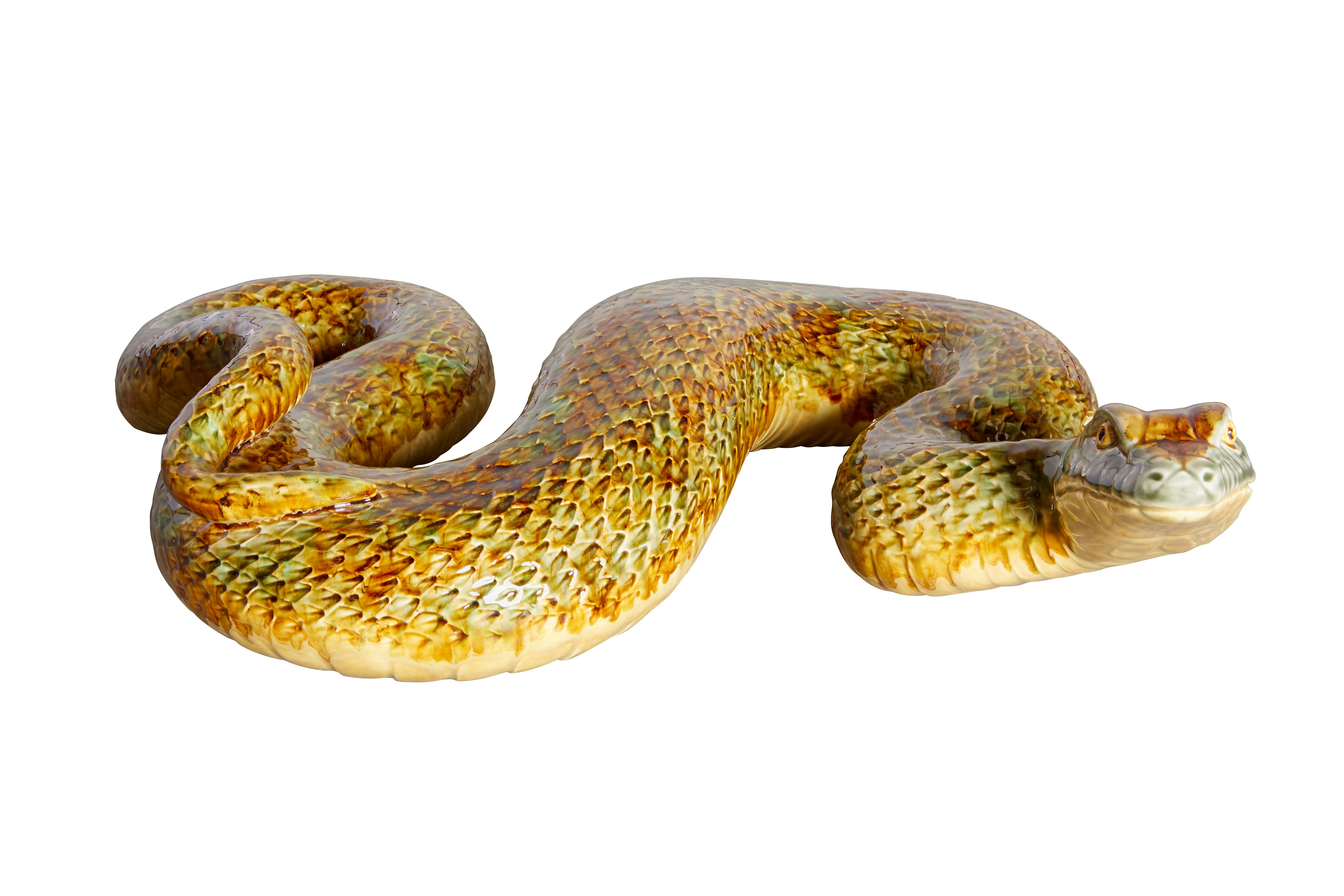 Cobra Gigante