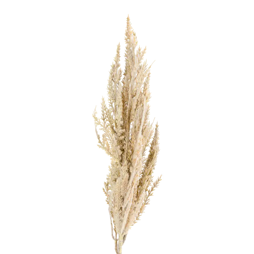 Dekozweig Dried-Grass