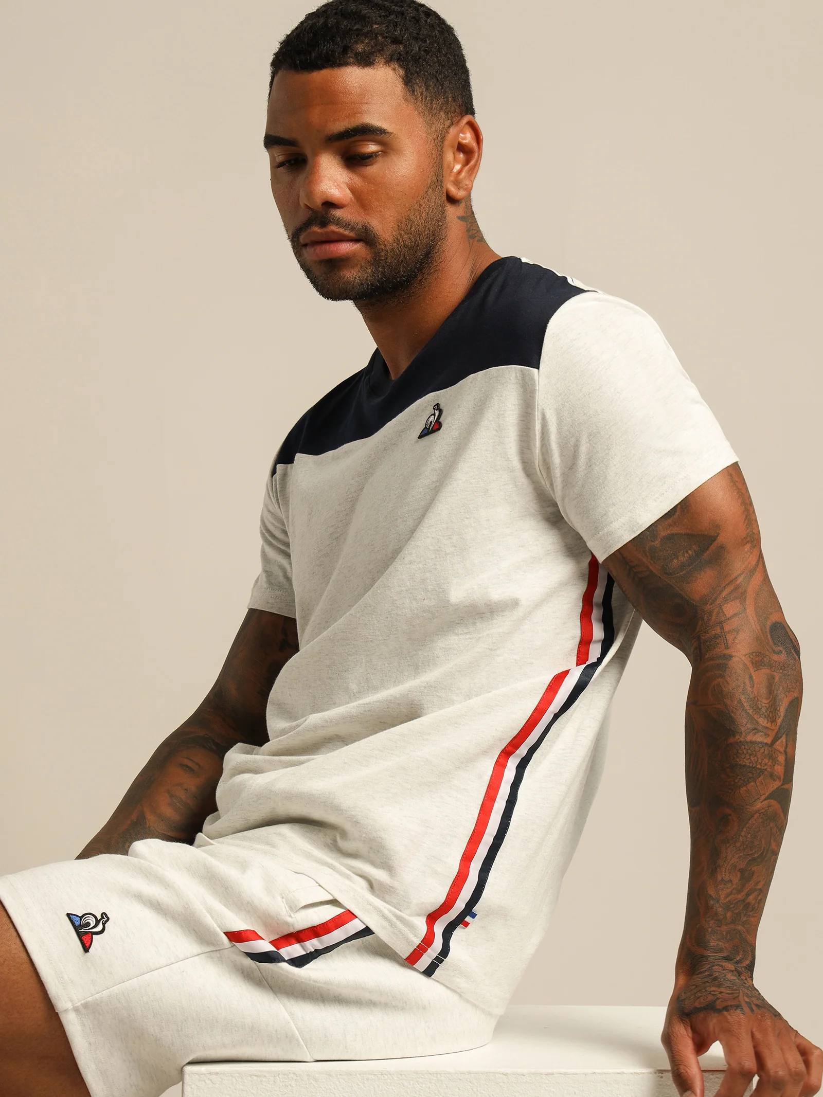 Tricolore Chevron Shorts