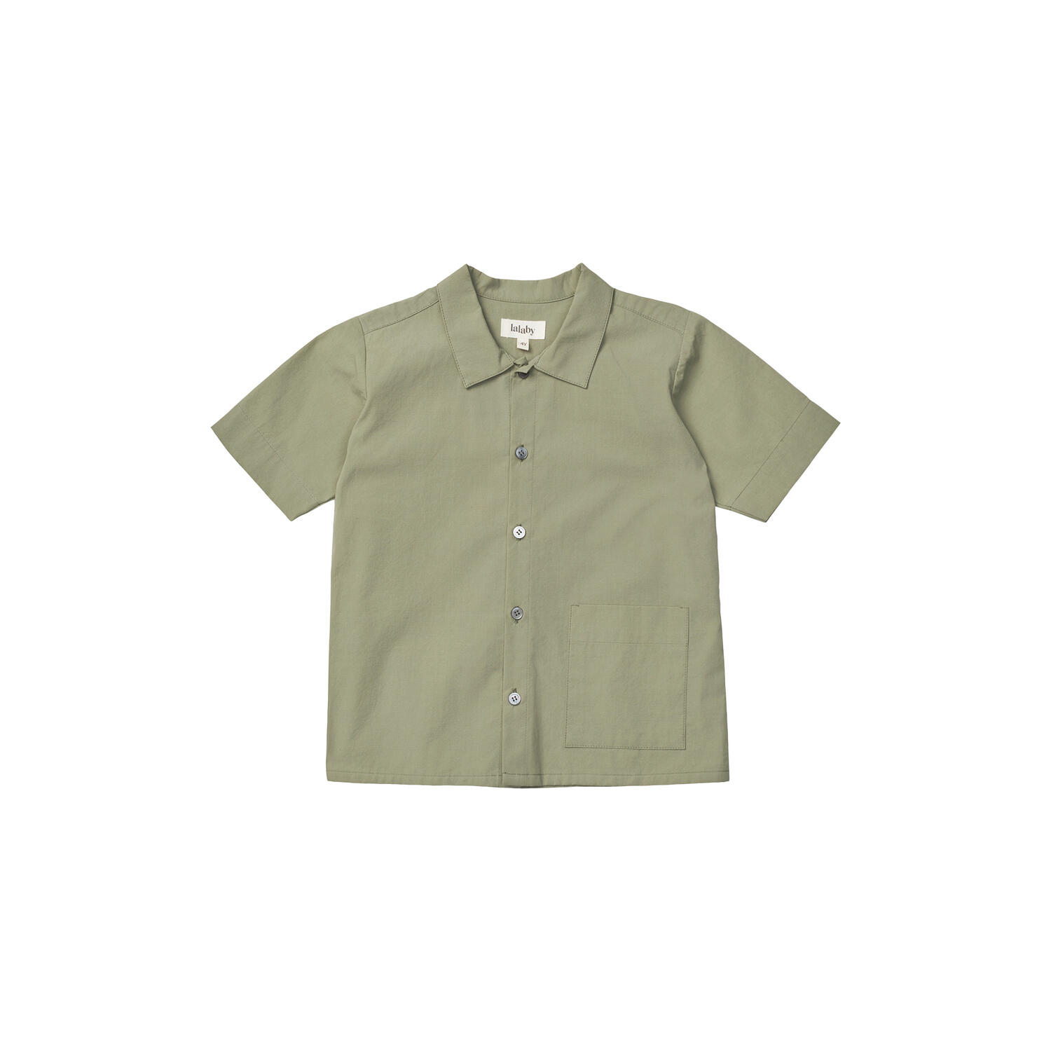 Billy Shirt, turtle