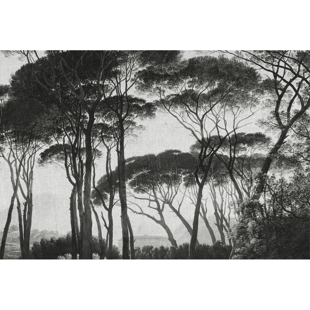 Papier peint panoramique XL BOSQUET 400 x 270 cm anthracite