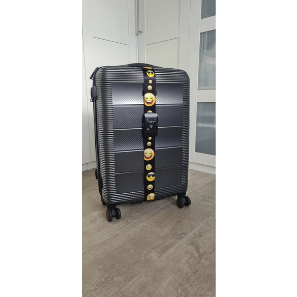 Koffergurt, BxHxL: 5 x 2,5 x 200 cm, schwarz