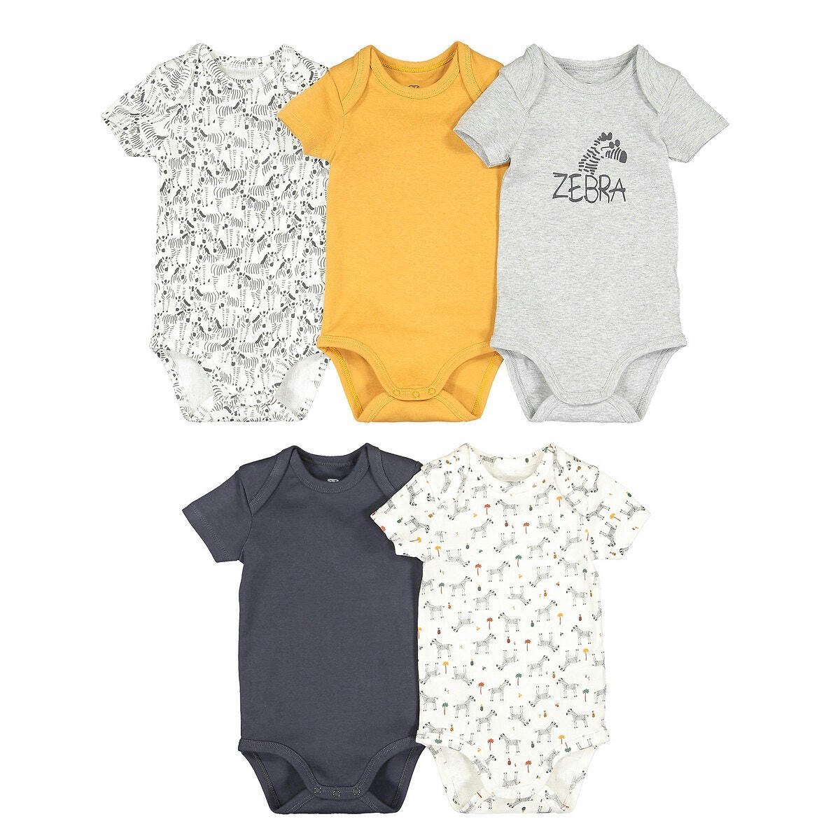 Lot de 5 bodies coton bio