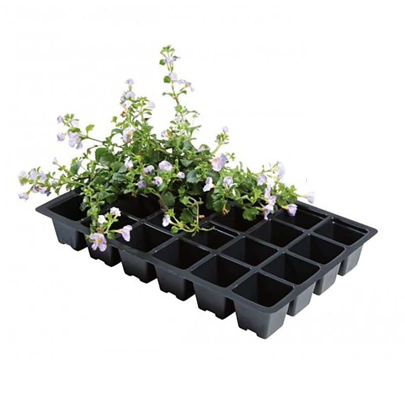 Såbrätte med 24 celler, 5-pack