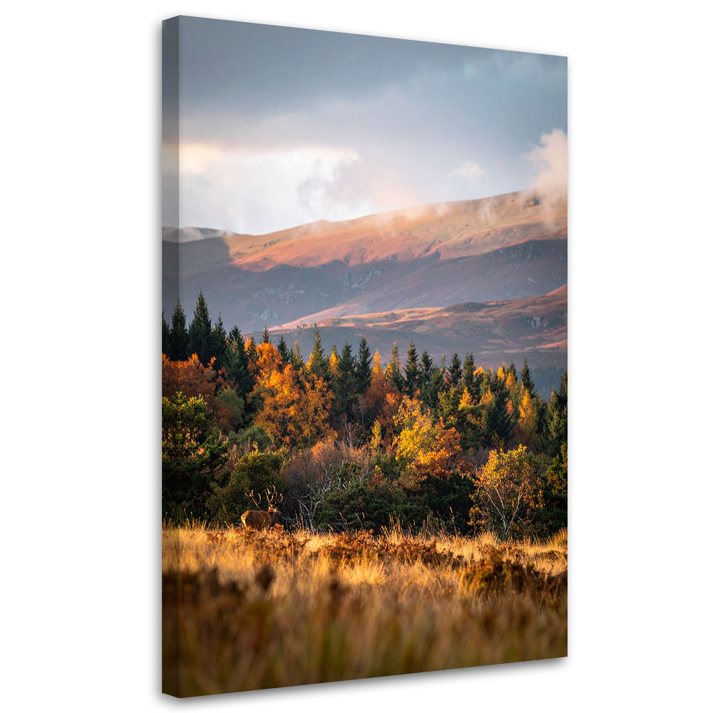Obraz do salonu sypialni biura, Pejzaż góry doliny natura 20x30