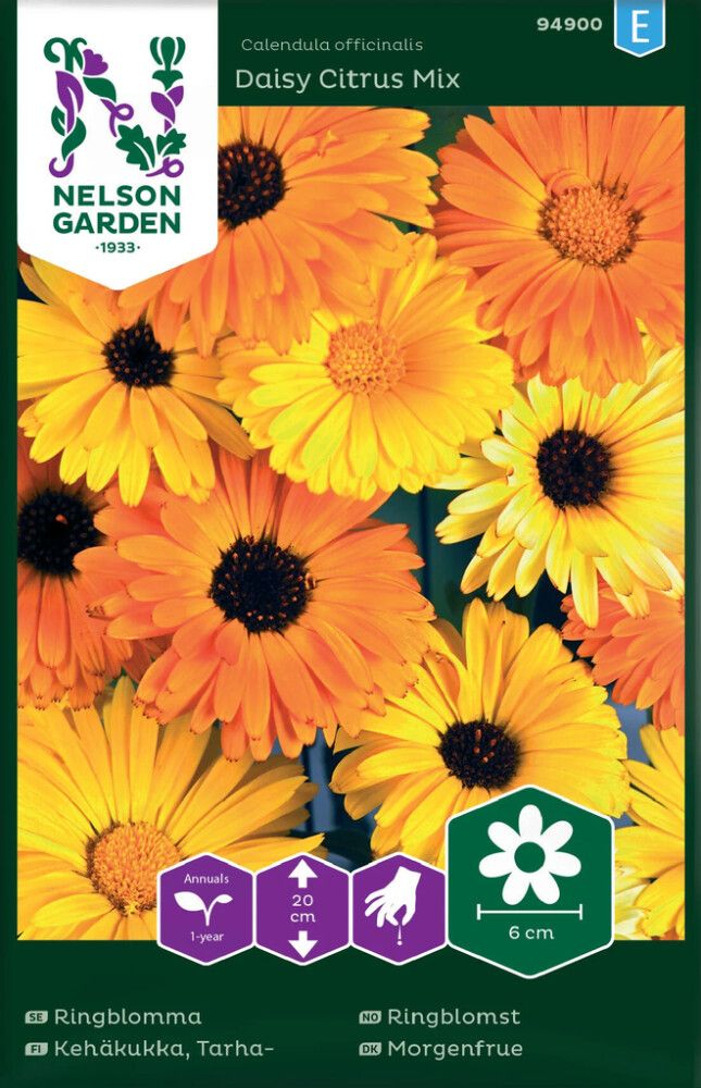BLOMSTERFRØ NELSON GARDEN RINGBLOMST DAISY CITRUS MIX