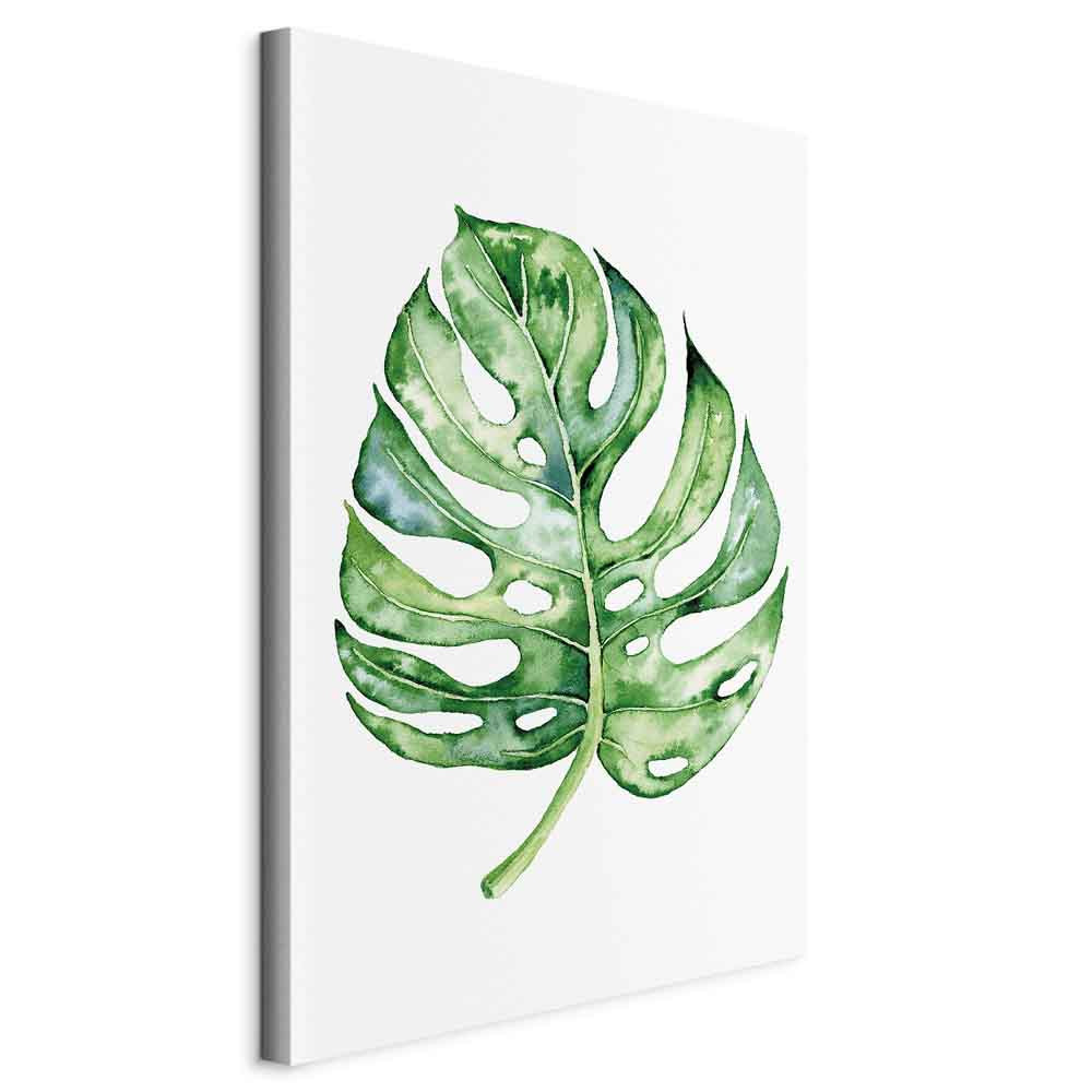 Obraz Akwarelowa monstera 40 x 60 cm
