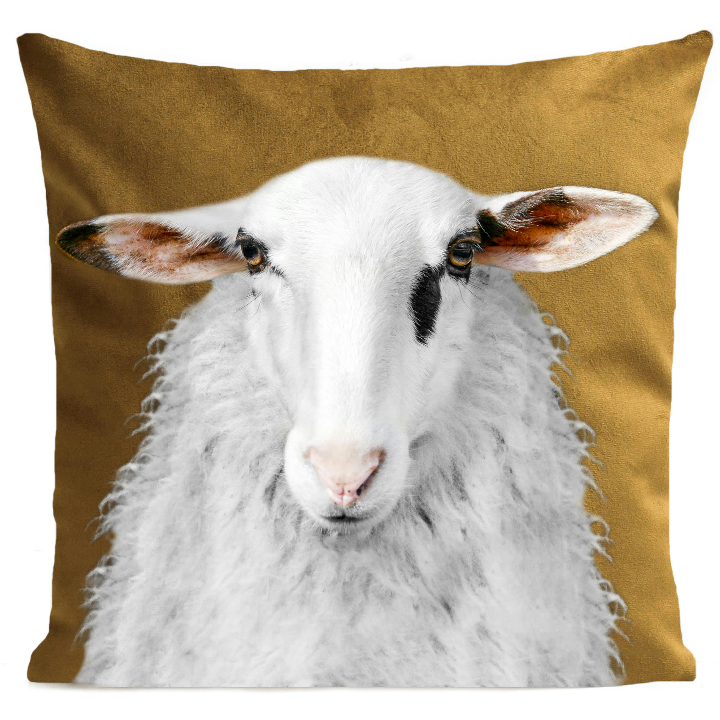 - Coussin campagne mouton suédine jaune 40x40cm