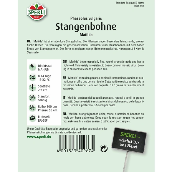 Stangenbohnen »Matilda«, feine, fadenlose Hülsen, schwarzsamig